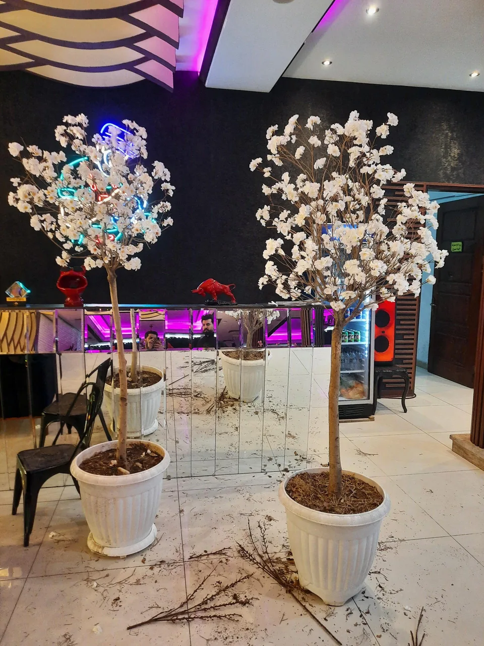 عودلند دکور - تصویر 3