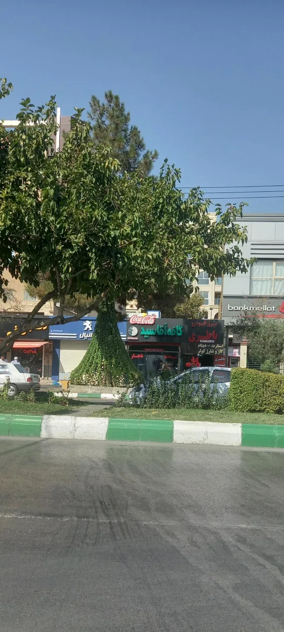 کافه سید - تصویر 5
