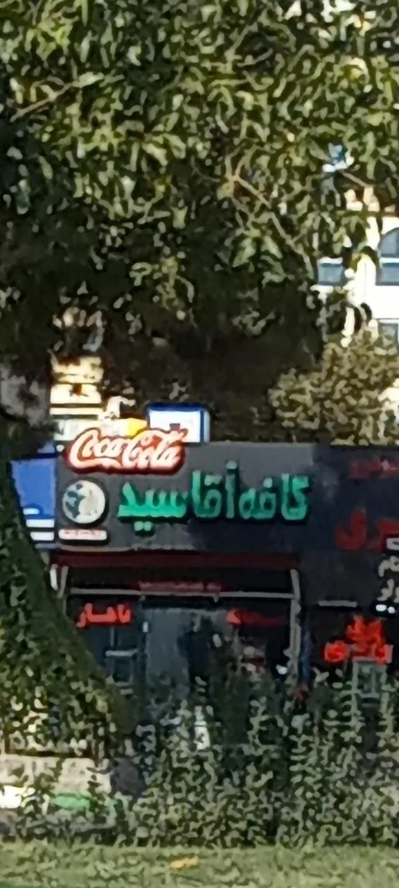 کافه سید - تصویر 6