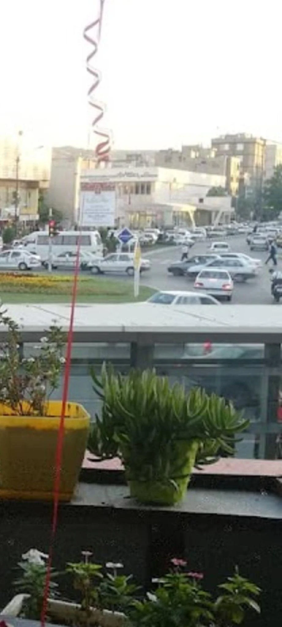 کافی شاپ تمشک - تصویر 5
