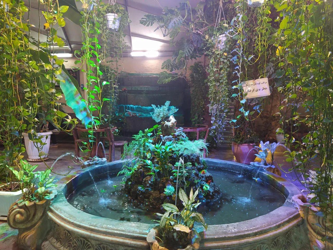 ۴۰-۳۰ چلسی - تصویر 5