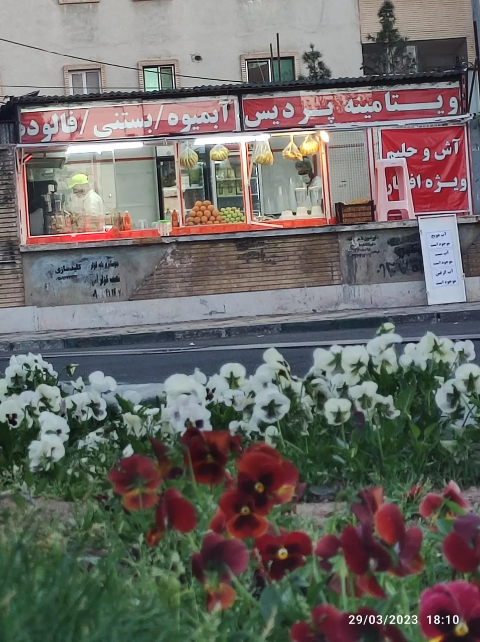 ویتامینه پردیس - تصویر 3