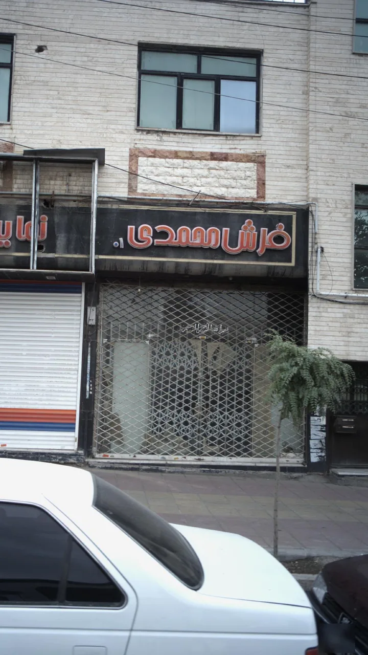 فرشم محمدی