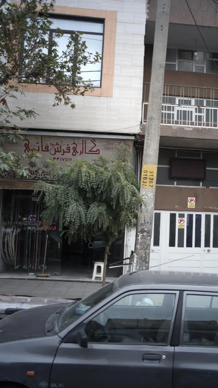 گالری فرش قائم