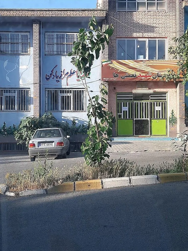 دبیرستان شاهد شهید نعمتی ها - تصویر 2