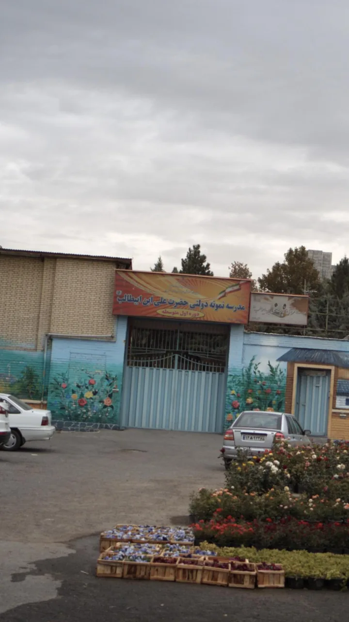 مدرسه نمونه دولتی حضرت علی ابن ابیطالب - تصویر 2