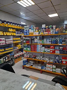 لایت الکتریک