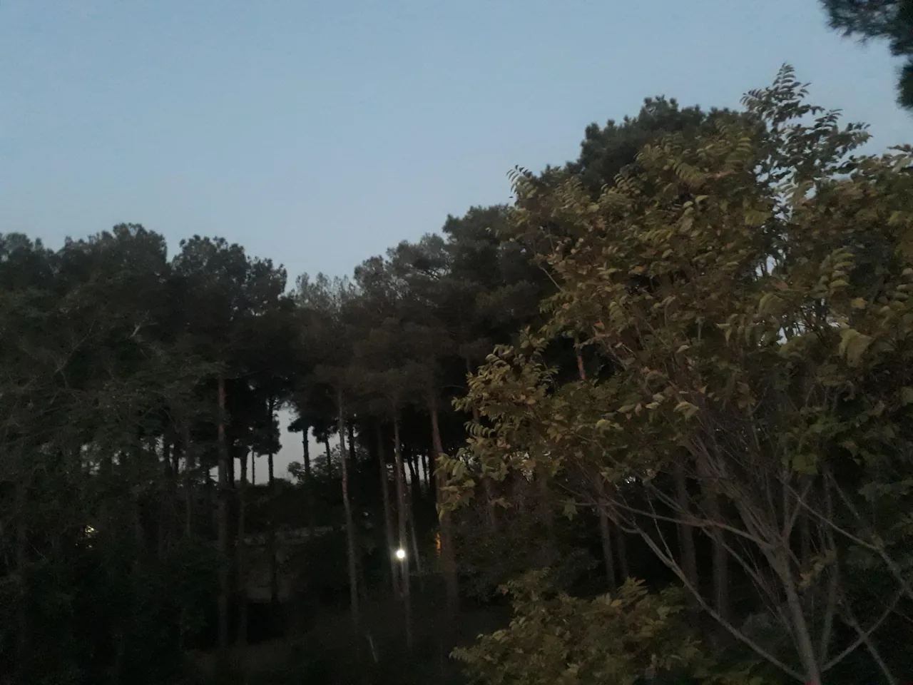 مهمانسرای مرکز تحقیقات کشاورزی - تصویر 3
