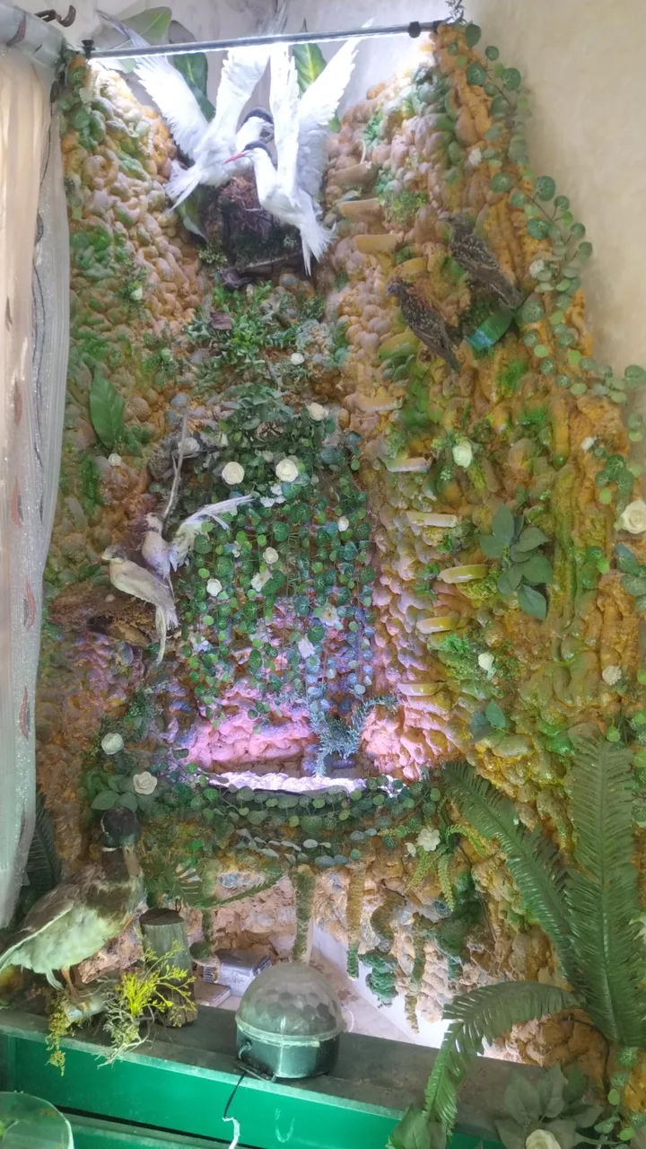 دفتر ازدواج 60 قم - تصویر 5