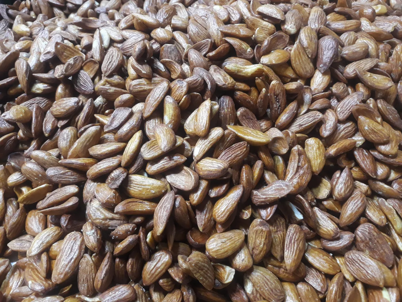 آجیل و خشکبار باستان - تصویر 3