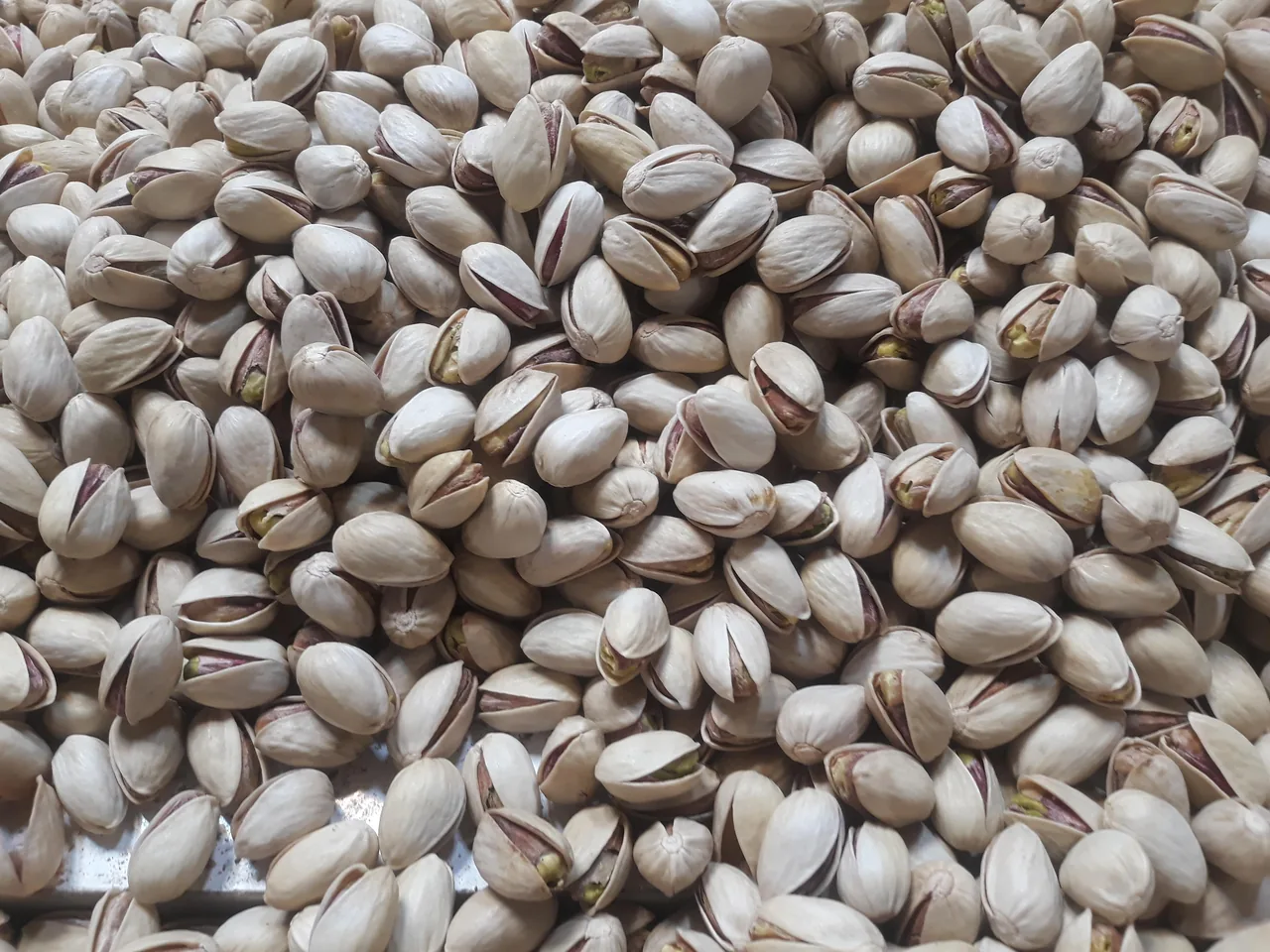 آجیل و خشکبار باستان - تصویر 4