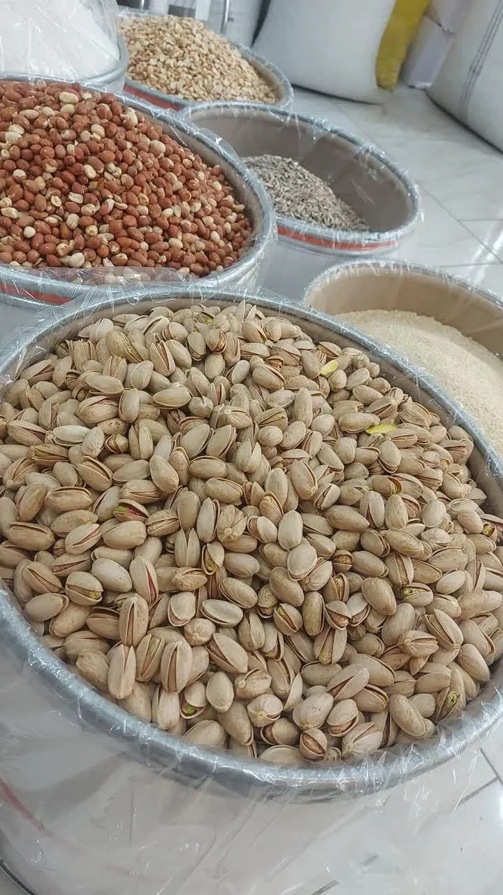 شهر خلال - تصویر 5