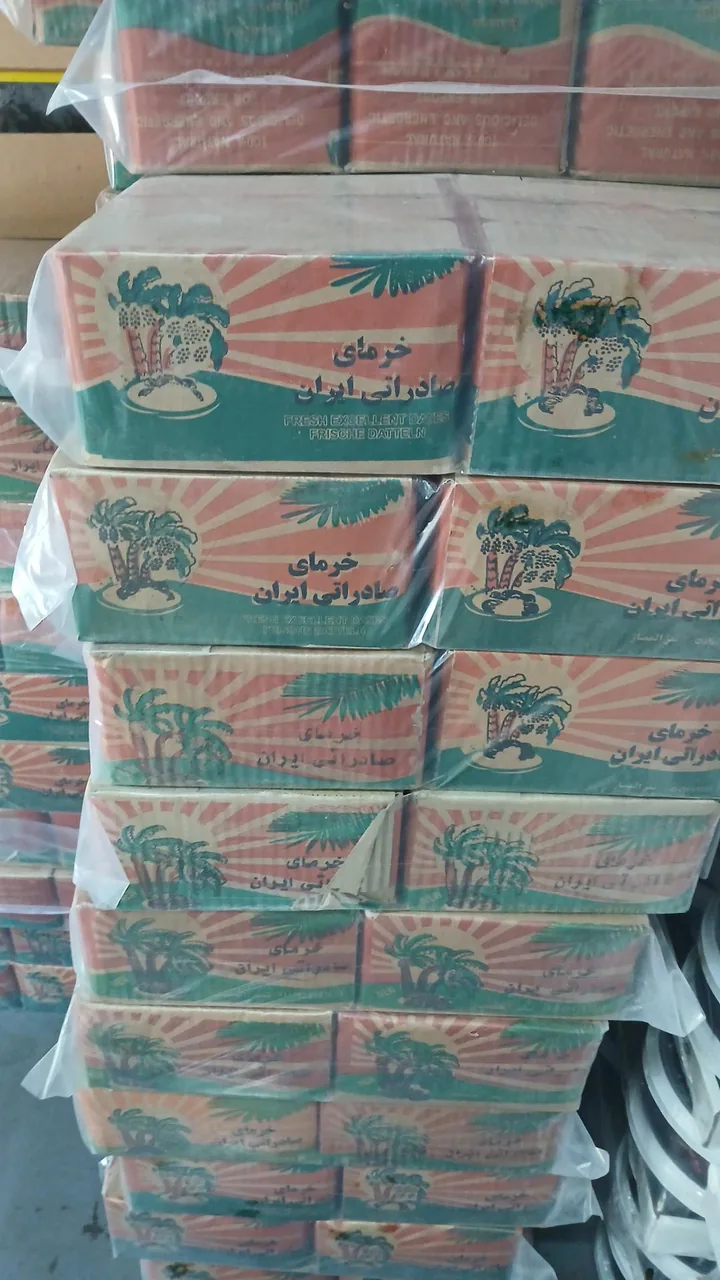 خرماسرای محمدرضا سالمی - تصویر 3
