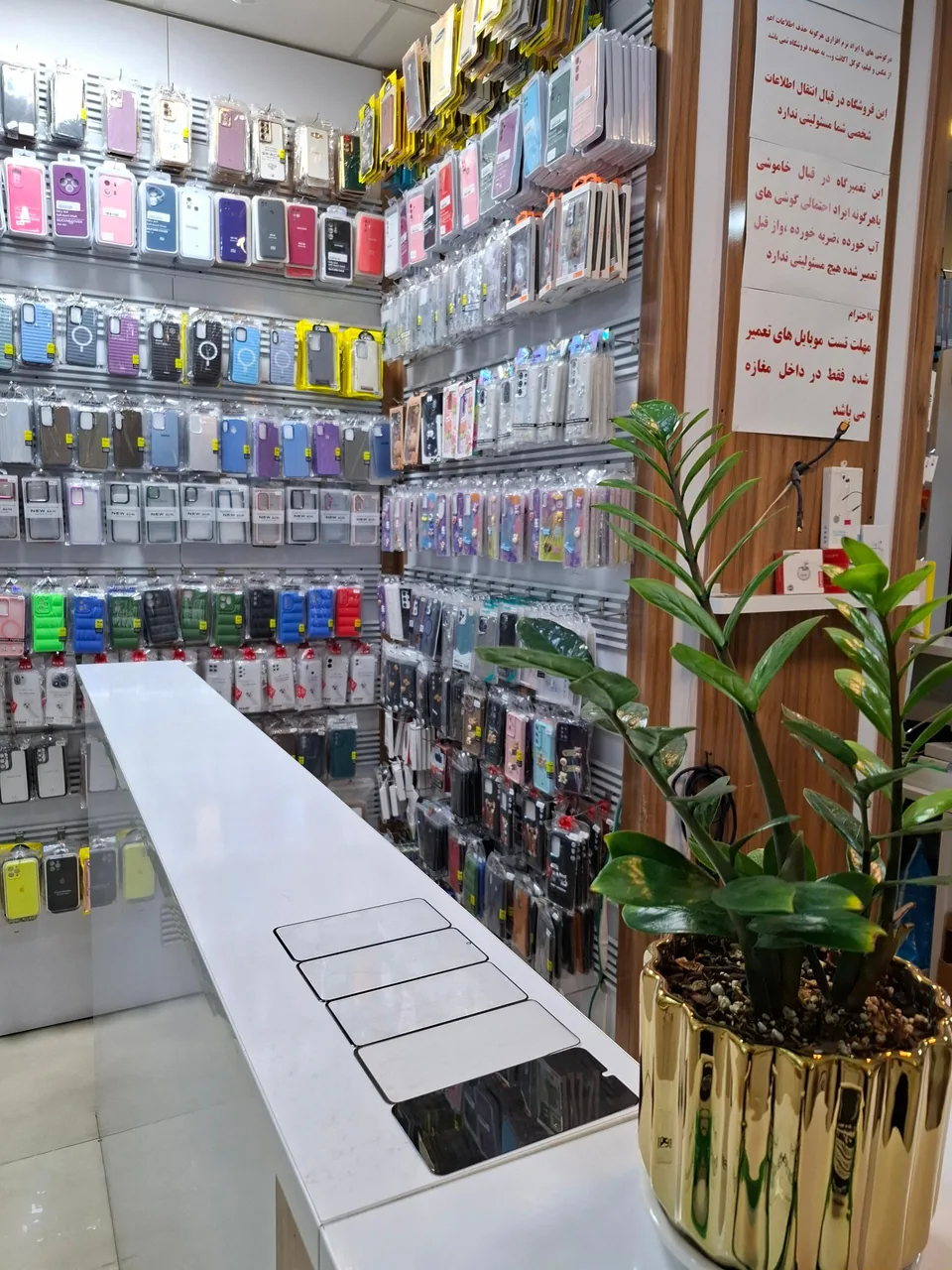 موبایل رسپینا - تصویر 4