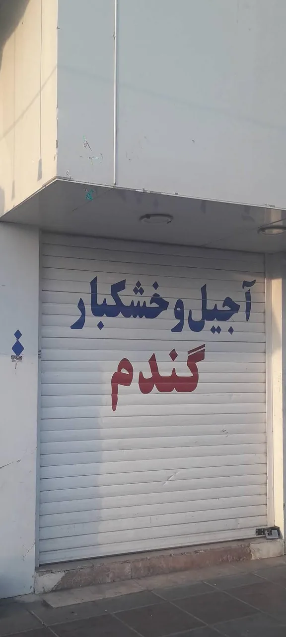 آجیل و خشکبار گندم - تصویر 3