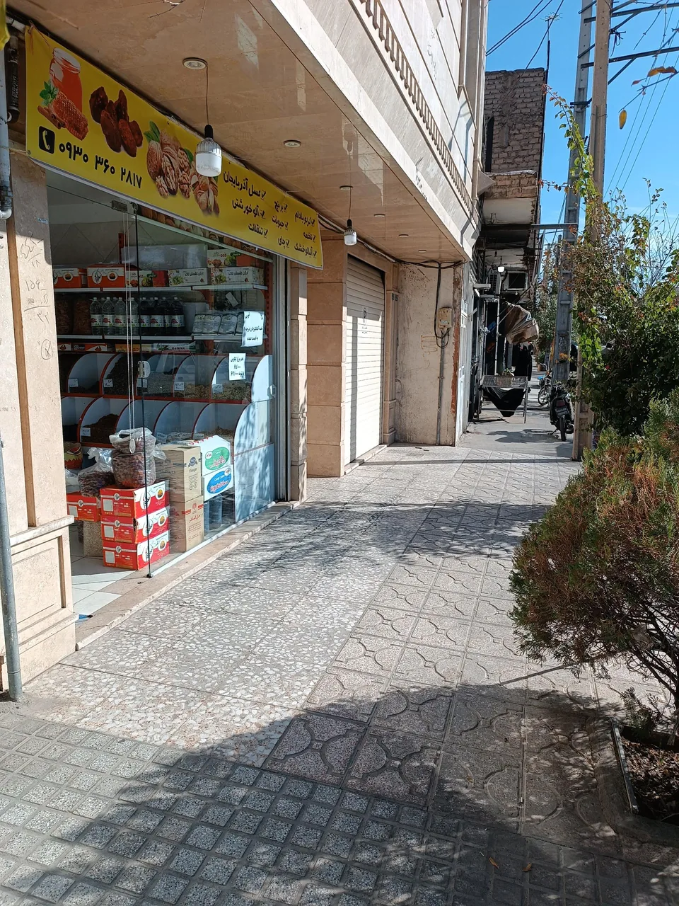 خشکبار امین