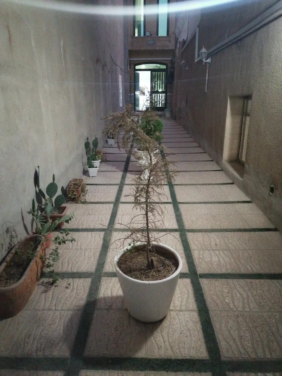 مرکز مشاوره و خدمات روانشناختی ایران - تصویر 4