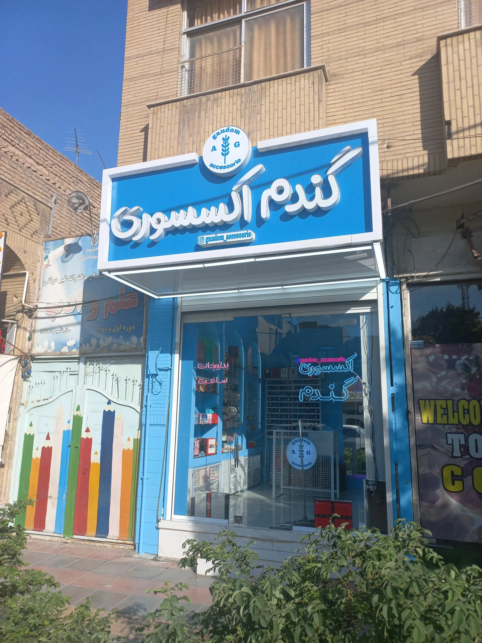 میخک نقره ای