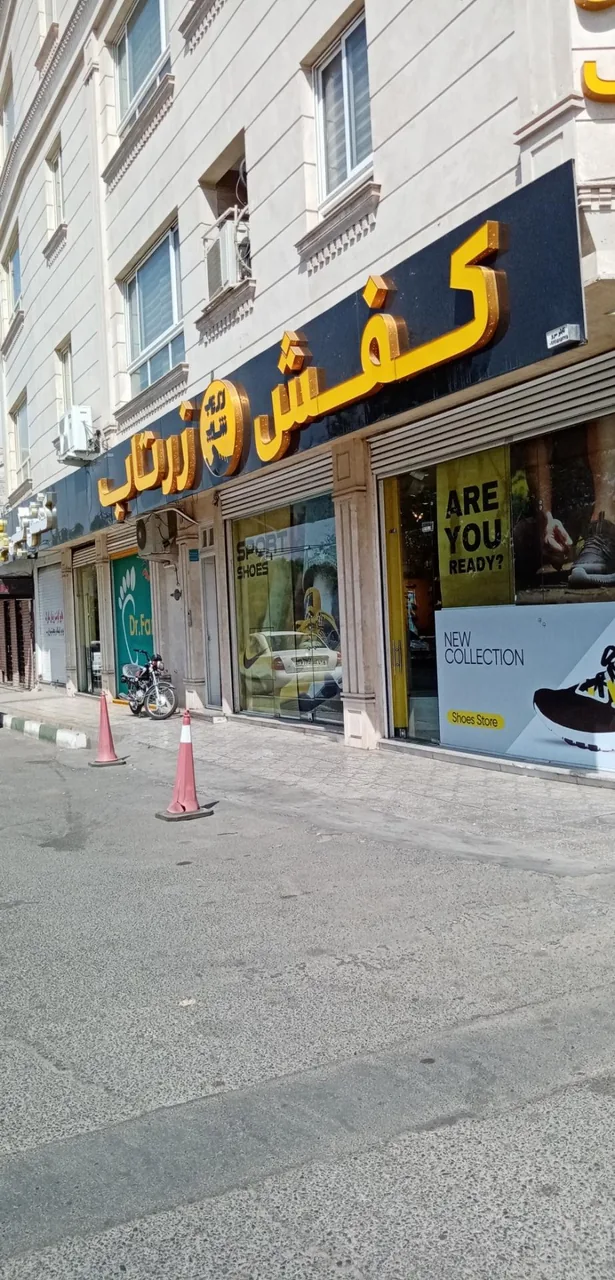 کفش زرتاب - تصویر 3