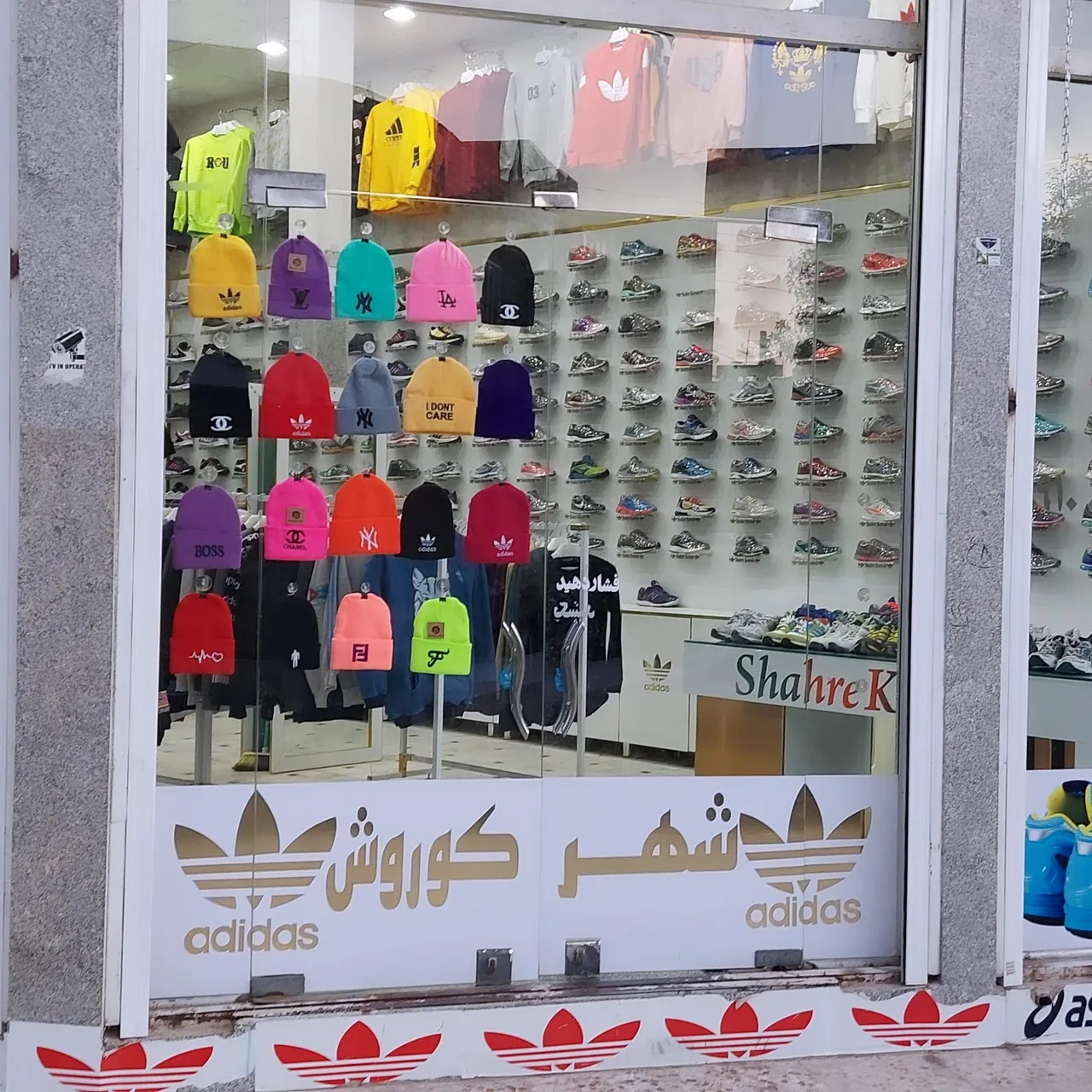 کفش شهر کوروش