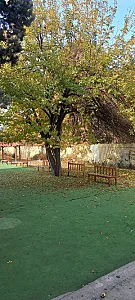 دبستان آفرینش نو