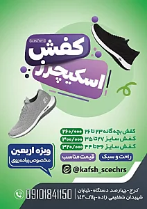 کفش اسکیچرز