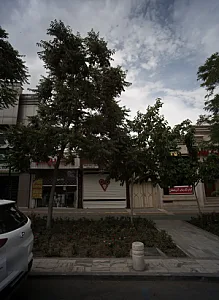 کافی شاپ تک آوای کافه