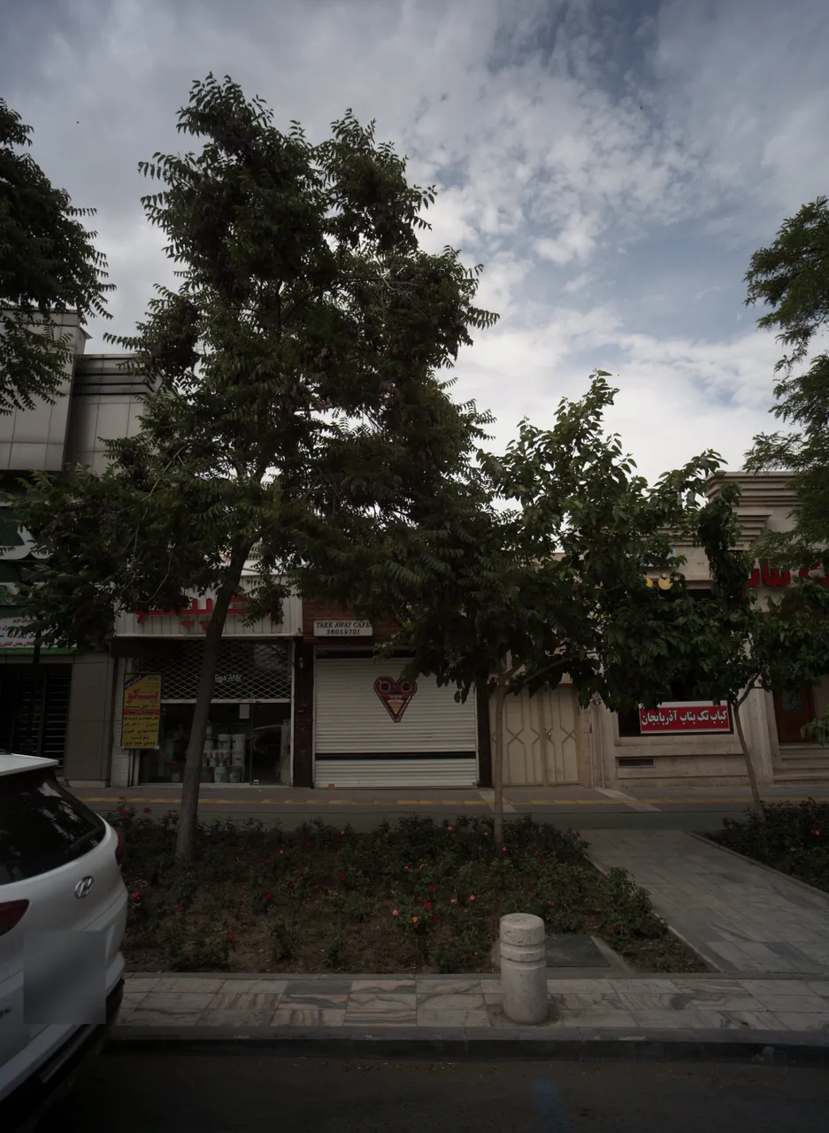 کافی شاپ تک آوای کافه