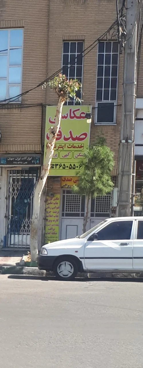 عکاسی صدف - تصویر 3