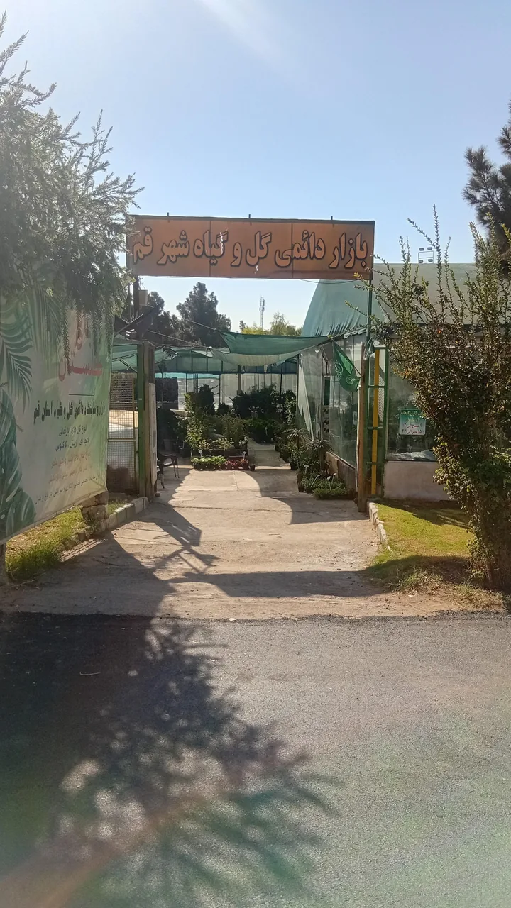 بازار دائمی گل و گیاه قم