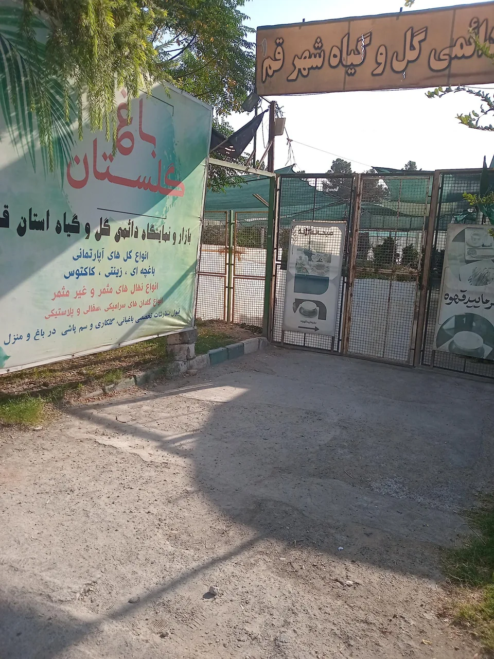 بازار دائمی گل و گیاه قم - تصویر 2