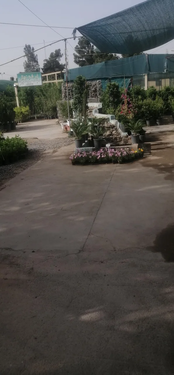 بازار دائمی گل و گیاه قم - تصویر 3
