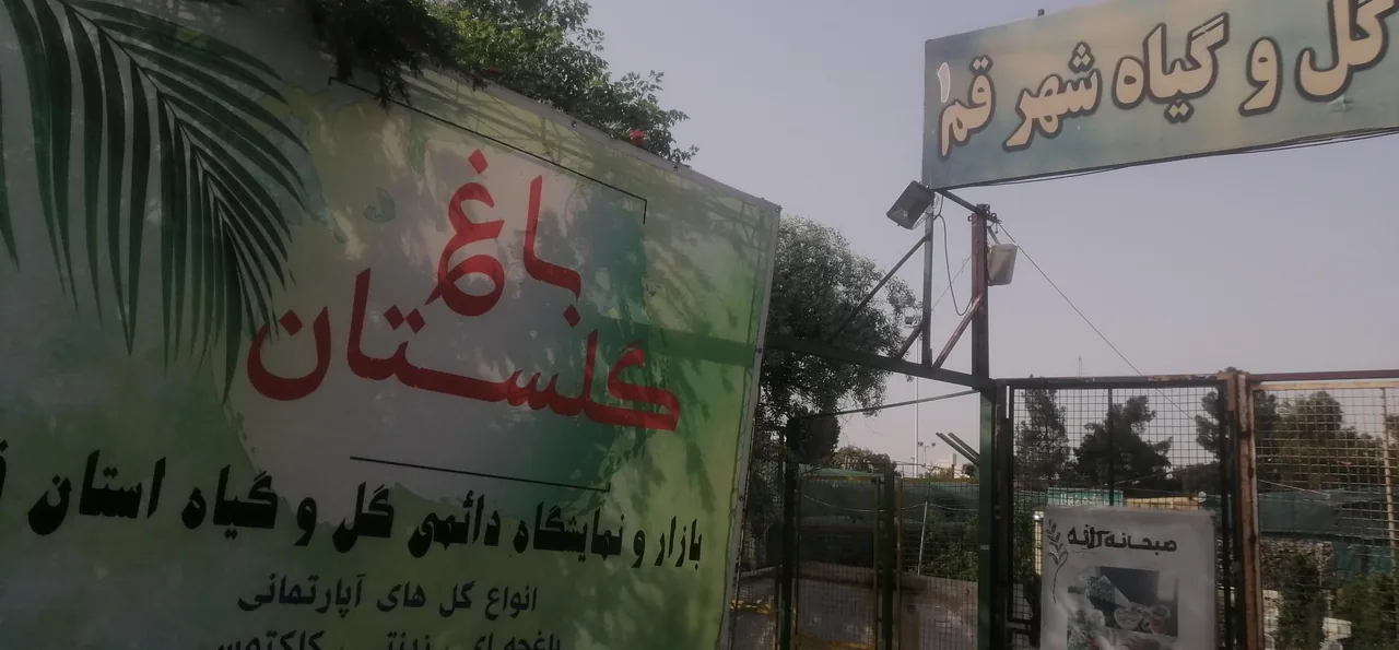 بازار دائمی گل و گیاه قم - تصویر 4