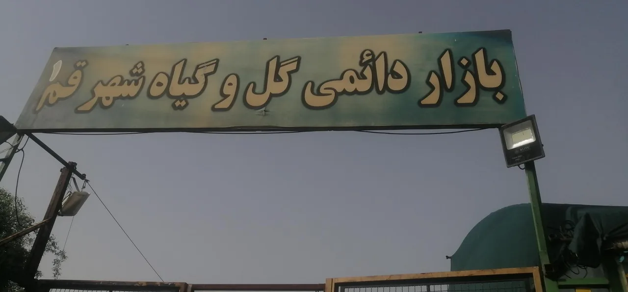 بازار دائمی گل و گیاه قم - تصویر 5