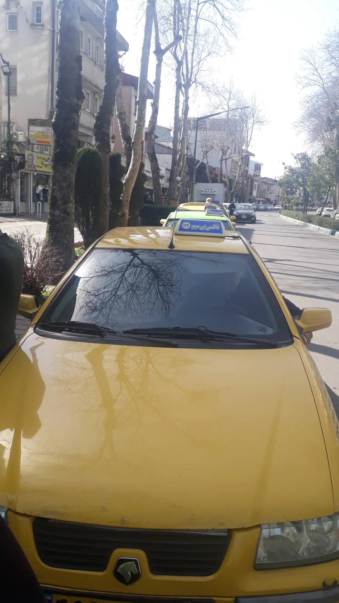 ایستگاه شهرداری سعدی - تصویر 3