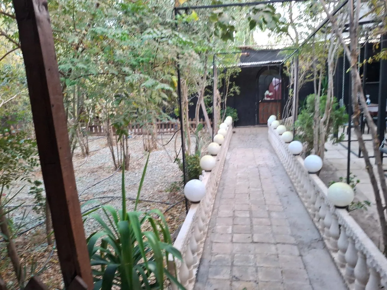باغ رستوران ظهور - تصویر 3