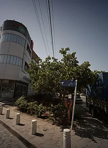 شیرینی سرای ثامن