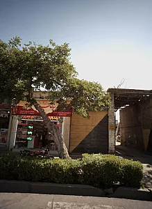 سوغات یزد