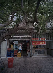 زولبیا بامیه تبریزی