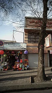 گشتاسب