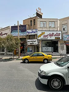 کلینیک دامپزشکی ویونا