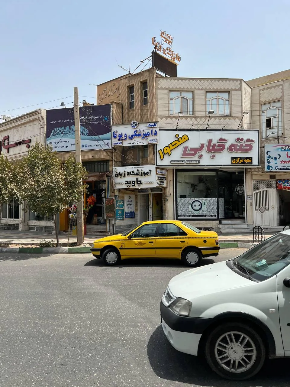 کلینیک دامپزشکی ویونا