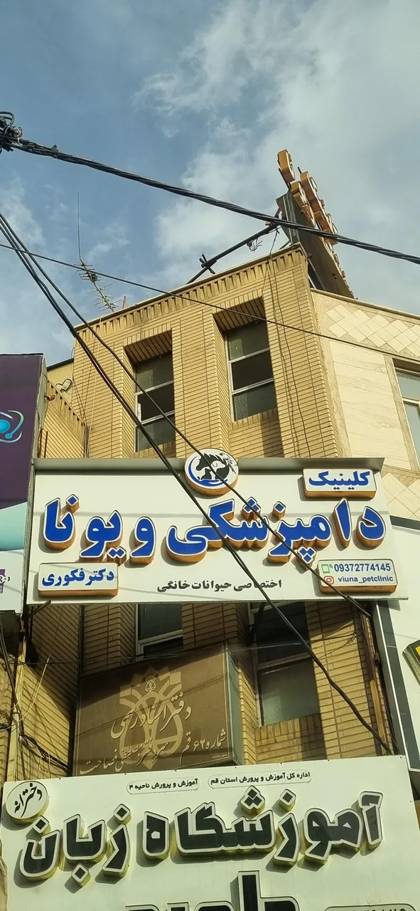 کلینیک دامپزشکی ویونا - تصویر 2