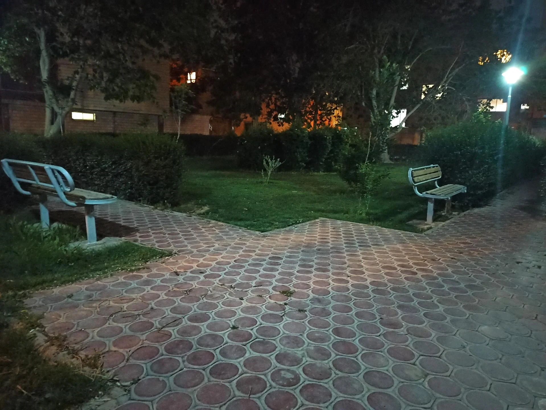باغ کاشفی