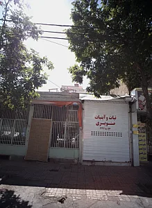 نبات و آبنبات صنوبری