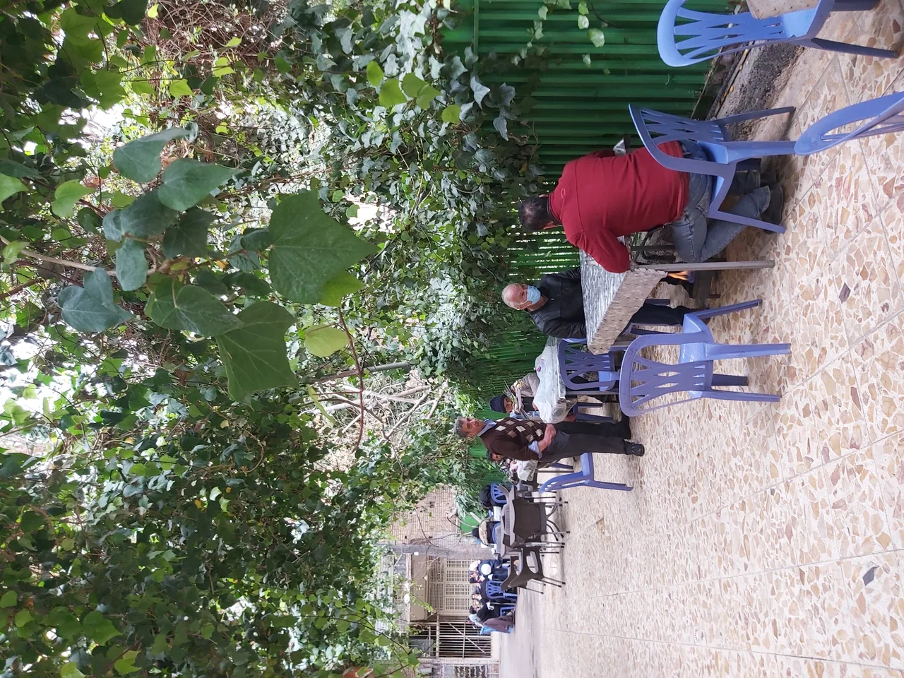 جگرکی پارک - تصویر 4