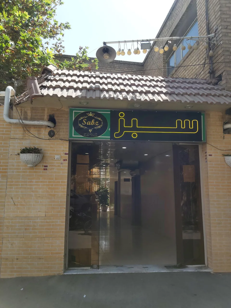 غذای سبز - تصویر 3