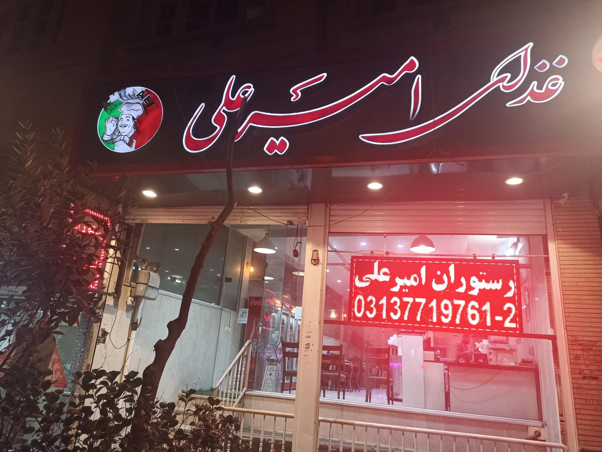 جوجه ذغالی سبحان - تصویر 2