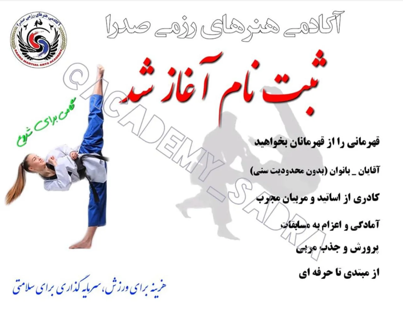 آکادمی هنرهای رزمی صدرا