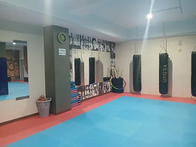 باشگاه ورزشی صلح